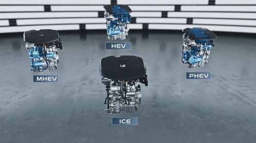 15年后無(wú)純?nèi)加蛙?新能源技術(shù)路線2.0 發(fā)布 這家車企眼光太牛了